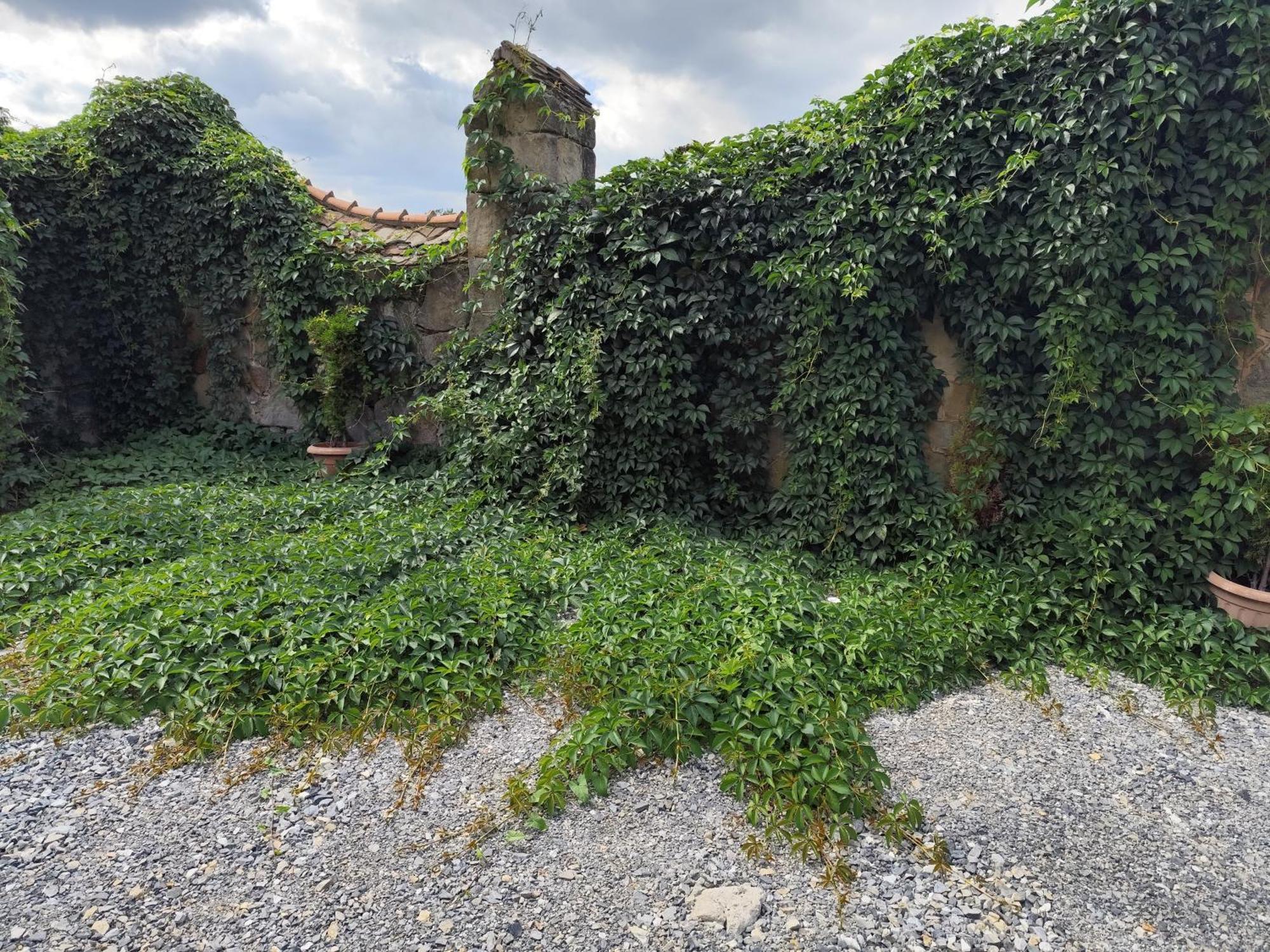 Apartment Mieszkanie W Oficynie Palacu Goetza